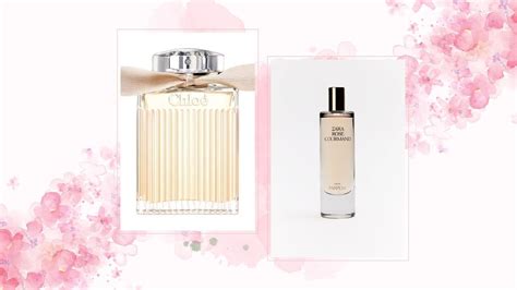 perfume chloe dupe|zara rose gourmand perfume dupe.